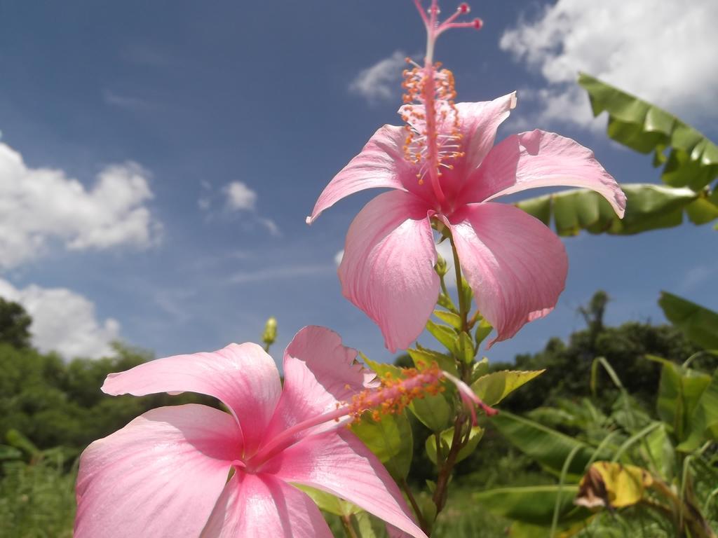 Yoisama Sunrise Beach House Ishigaki  Exterior foto