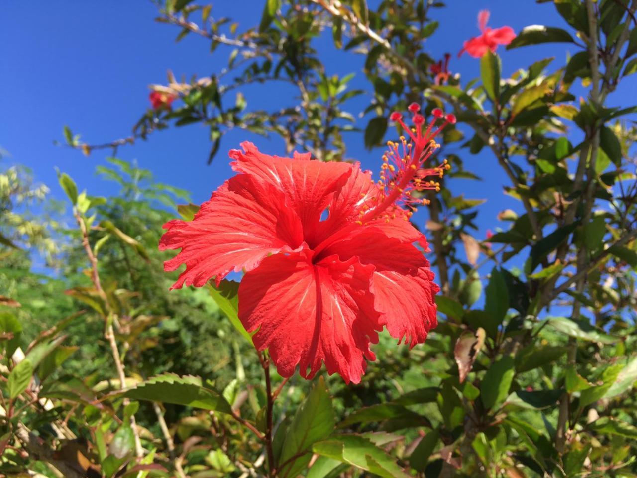 Yoisama Sunrise Beach House Ishigaki  Exterior foto